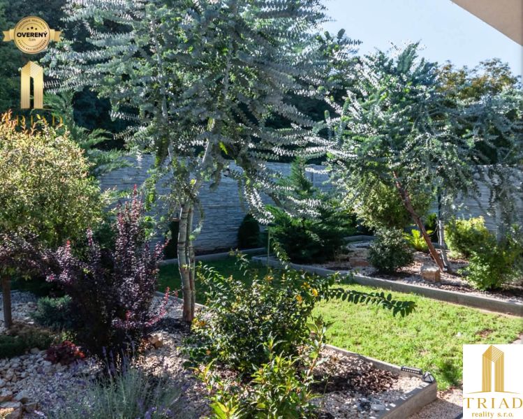 The garden of a family house in Bajč with diverse greenery and manicured plants.