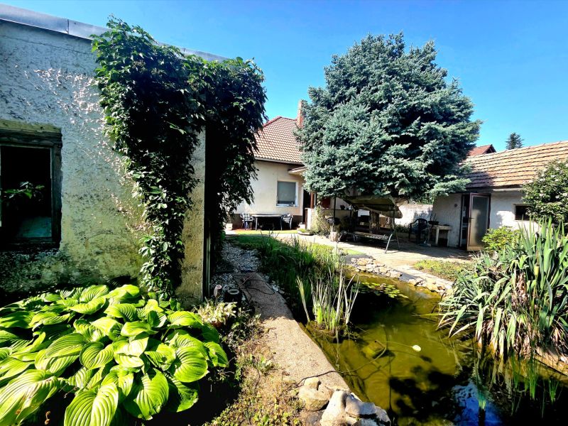 The garden of a family house on Murgašova Street in Šaľa with a pond and greenery.