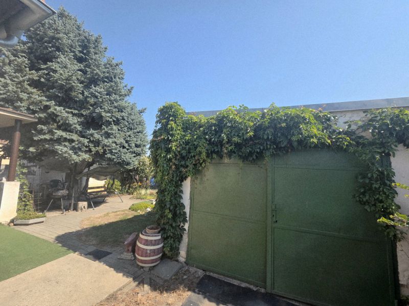 A family house on Murgašova Street in Šaľa with a garage covered in climbing plants and a large tree.