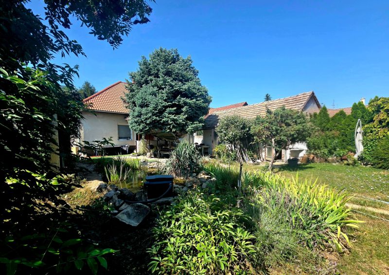 The garden of a family house on Murgašova Street in Šaľa with trees and a pond.