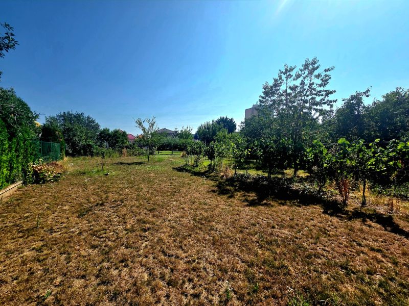 Garden at the family house on Murgašova Street in Šaľa with trees and a lawn.
