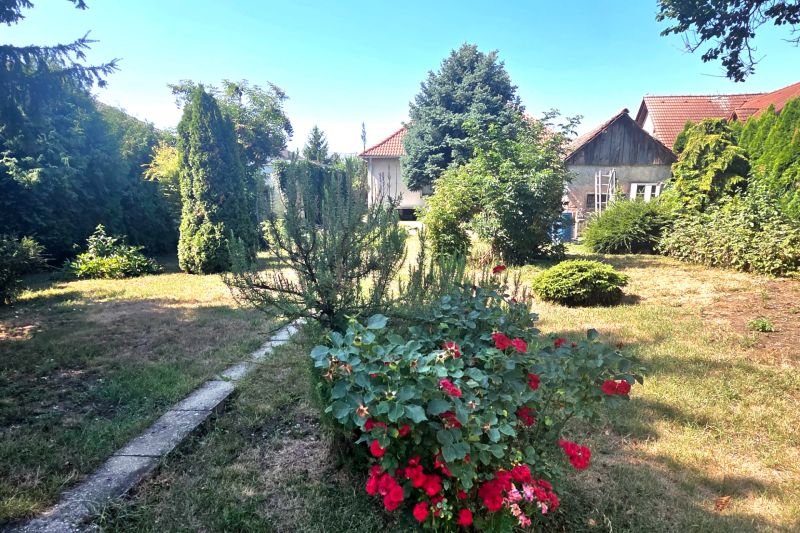 The garden of the family house on Murgašova Street in Šaľa with flowers and greenery.