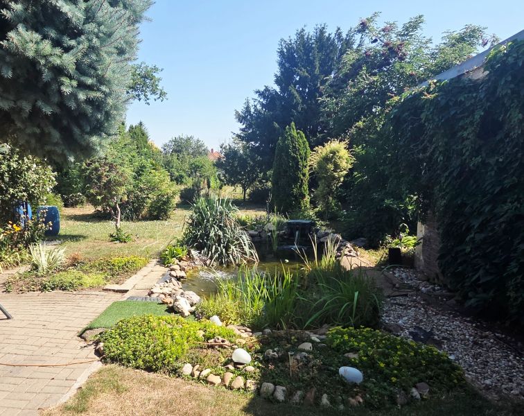 The garden of a family house on Murgašova Street in Šaľa with a pond and greenery.