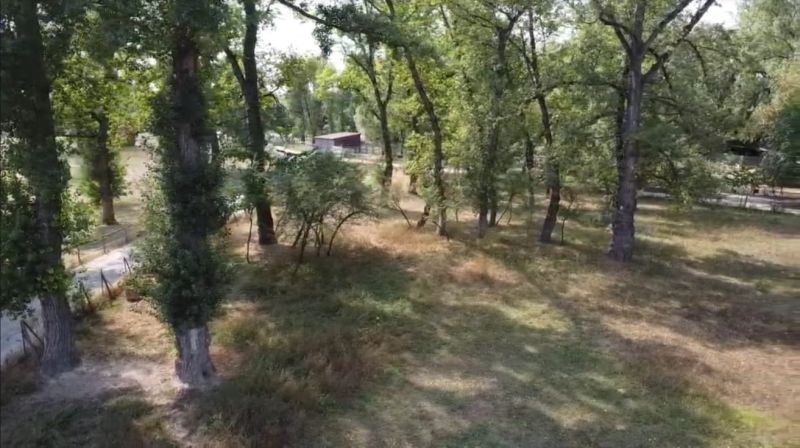 A wooded area on the Recreational Grounds in Piešťany offers a quiet natural environment.