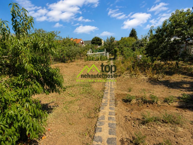 A garden at a family house on Ľaliová Street in Topoľčany with fruit trees and a walkway.