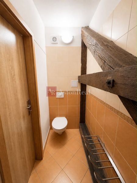 Toilet with wooden decor, ceramic tiles, wooden beams, 3-room apartment.