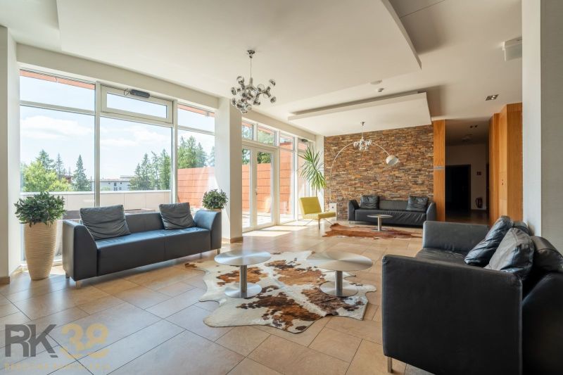 Spacious interior with leather sofas and a carpet in a Holiday Apartment.