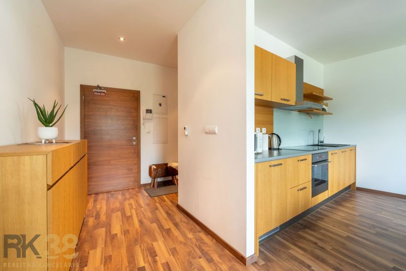 A kitchen unit in a holiday apartment with a wooden decor floor and minimalist furniture.