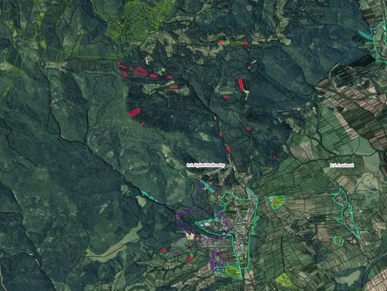 Agricultural and forest lands around Stará Ľubovňa with distinctive color markings.