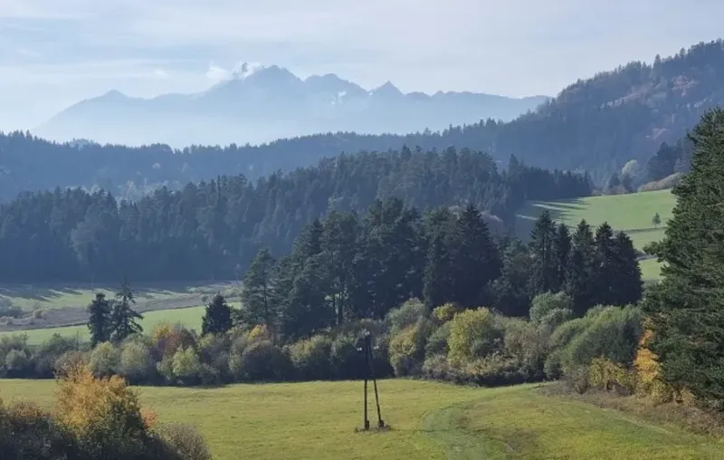 Mountains and forest lands near Stará Ľubovňa. A landscape with dense forests and meadows.