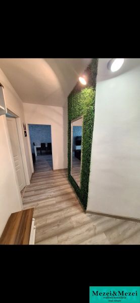 A hallway in a 3-room apartment with a wooden decor floor and a vertical garden.