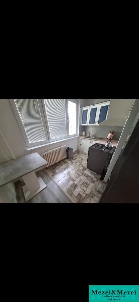 A kitchen in a 3-room apartment with a wooden decor floor and fresh elements.