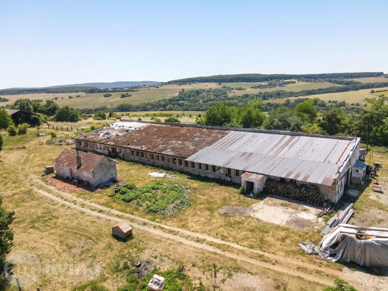 Abandoned buildings of peculiar properties surrounded by nature in the vicinity of Stará Turá.