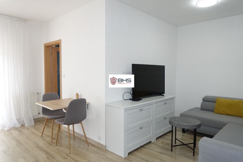 Living room in a 2-room apartment with a television, gray couch, and wood-patterned flooring.