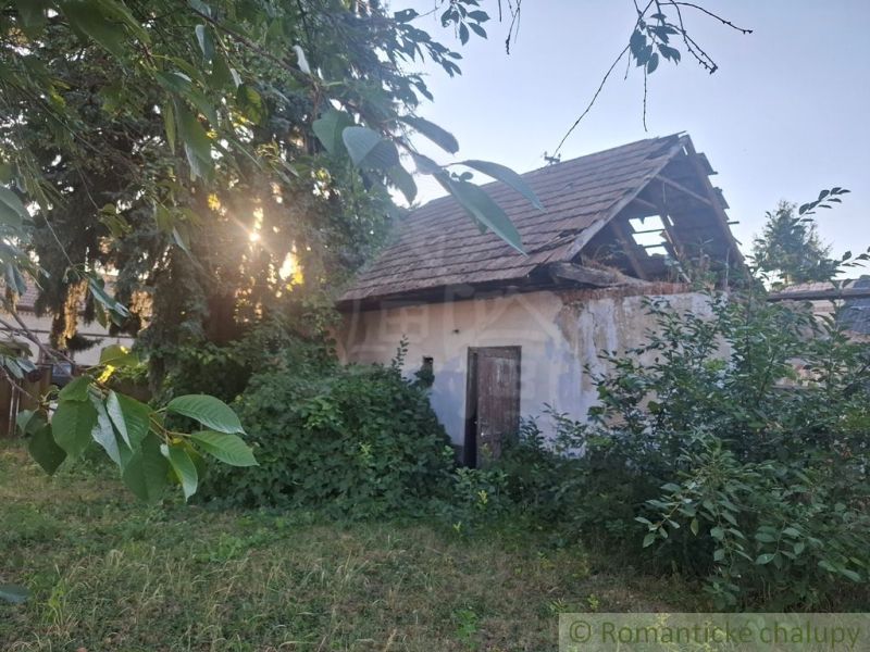 A family house in Malé Kosihy with an abandoned garden surrounded by lush greenery.