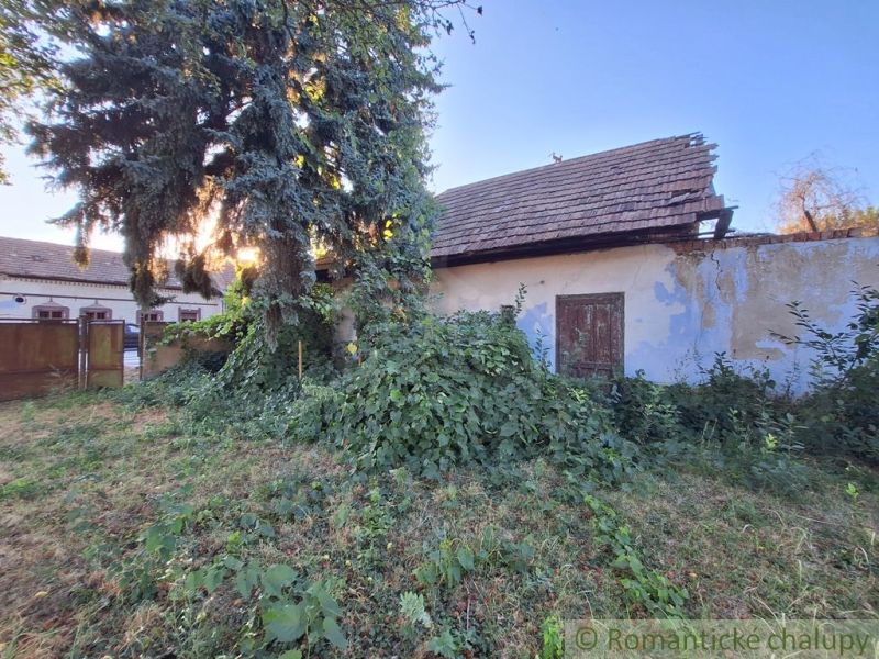 A family house in Malé Kosihy surrounded by a garden with greenery and a damaged roof.
