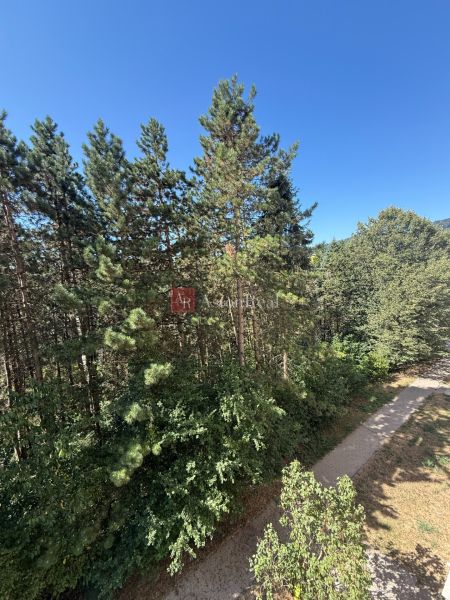 View of the forest vegetation and path around Tulská Street, Banská Bystrica.