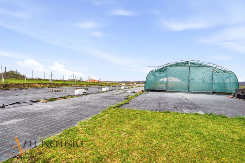 The exterior of a family house on Kopanice Street in Krupina, greenhouse, concrete area, clear sky.