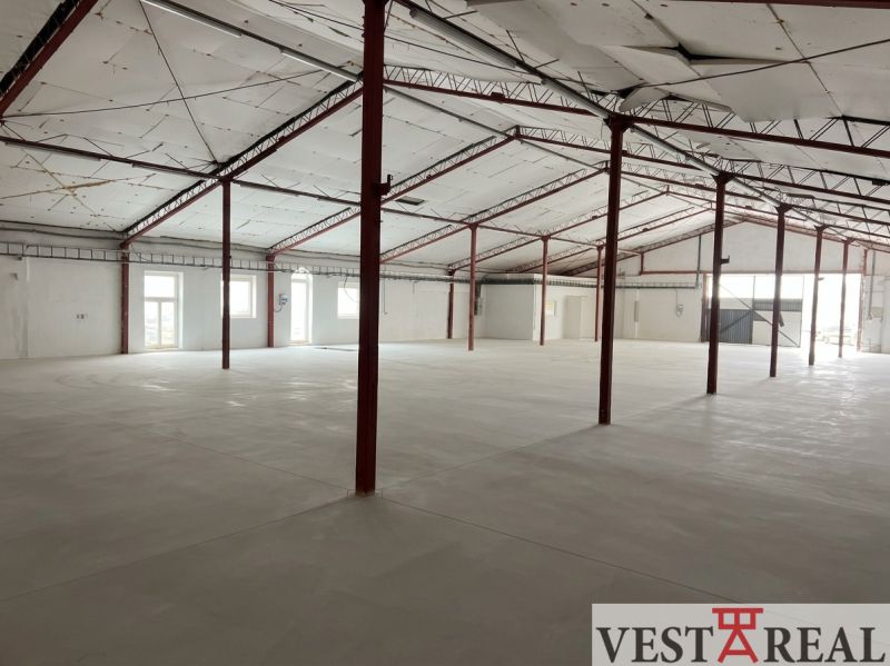 Spacious interior of a warehouse and hall with white walls and steel beams.