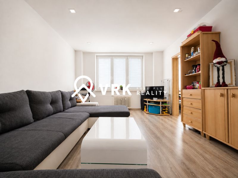 Living room with a dark sofa and a wooden decor floor in a studio apartment.