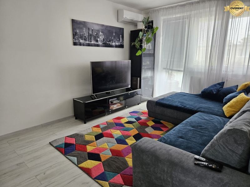 Living room in a 4-room apartment with a colorful carpet and wooden decor flooring.