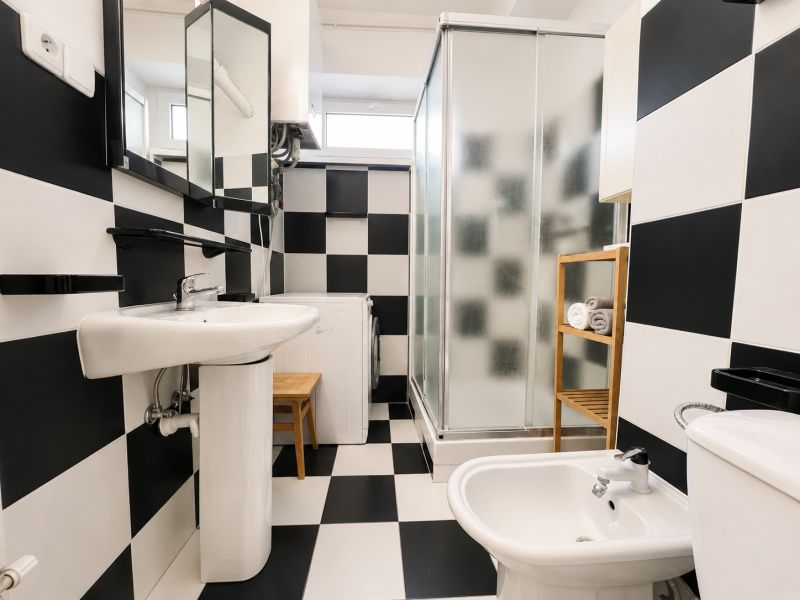 Black and white bathroom with a shower and a washing machine in a studio apartment.