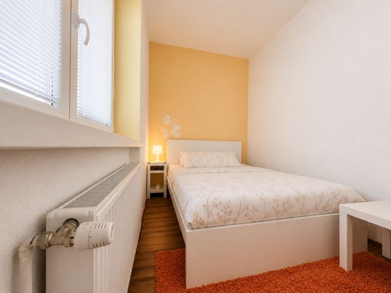 A bedroom in a studio apartment with a wood-patterned floor and an orange carpet.
