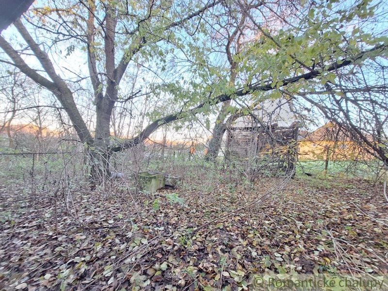 A natural plot in Nová Vieska with wooded areas and an older wooden building.