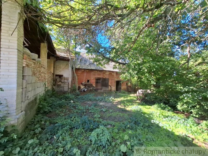 An abandoned house surrounded by greenery in Nová Vieska suitable for residential plots.