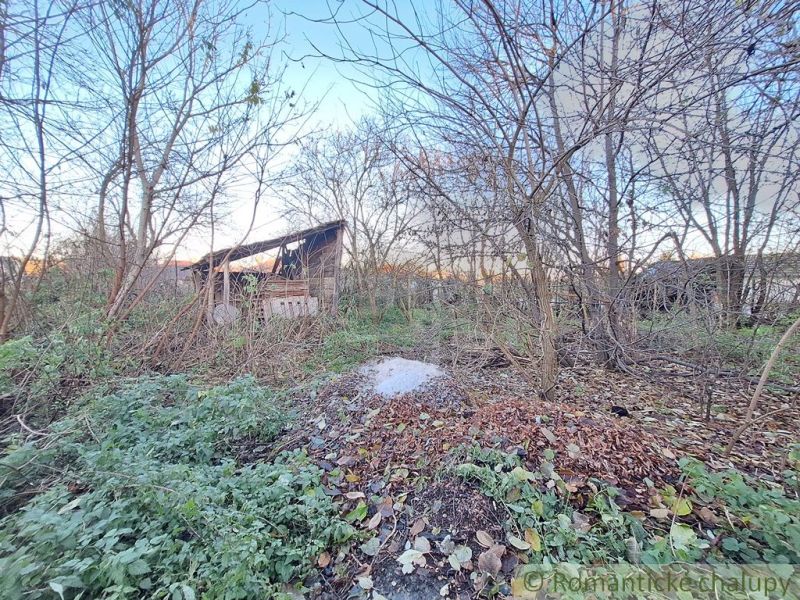 Forest land for living in Nová Vieska with an abandoned cottage and natural surroundings.