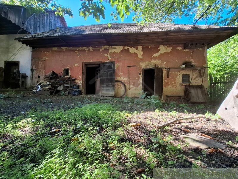 An old building with peeling plaster and nature in Nová Vieska, Land - residential.