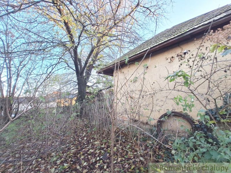 An overgrown residential plot in Nová Vieska with an abandoned building and trees.