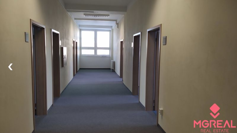 Offices with carpeted floors and a row of white doors in the hallway.