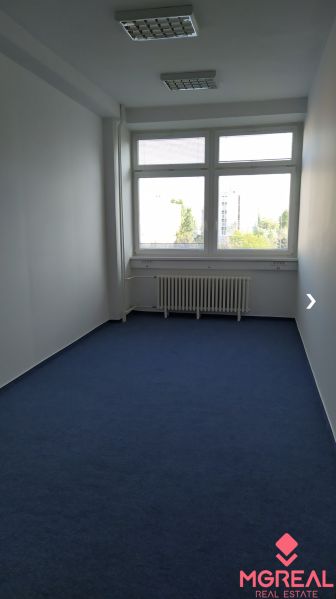 Spacious offices with blue carpet and a large window for plenty of light.