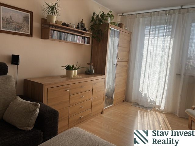 Living room with wood-patterned flooring, furniture, and houseplants in a 4-room apartment.