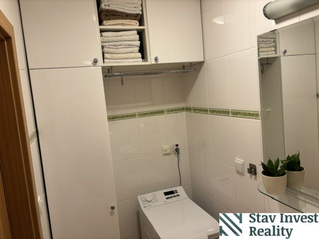 Bathroom in a 4-room apartment with cabinets, a washing machine, a mirror, and plants.