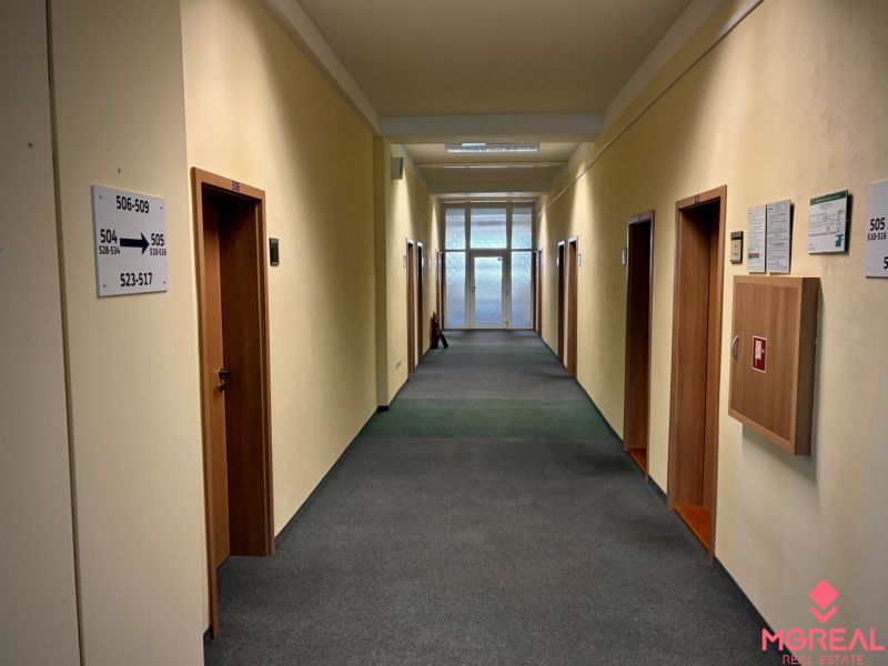 Offices with doors and carpeted floors in neutral shades.