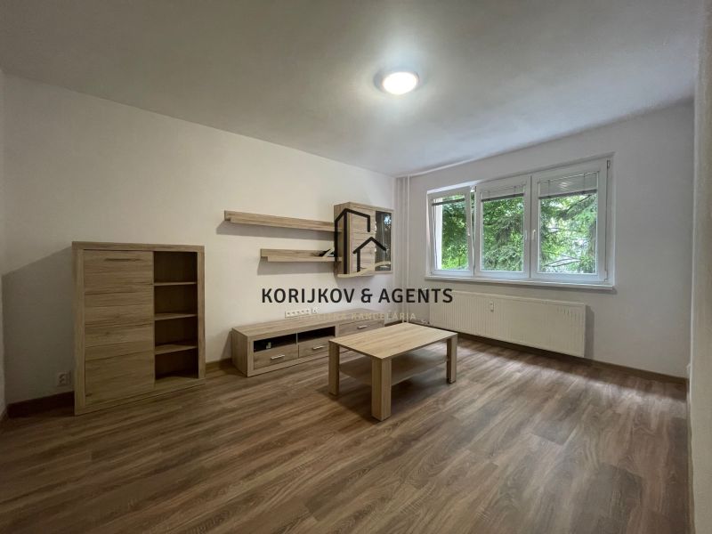 Living room in a two-room apartment with a wooden decor floor and furniture.