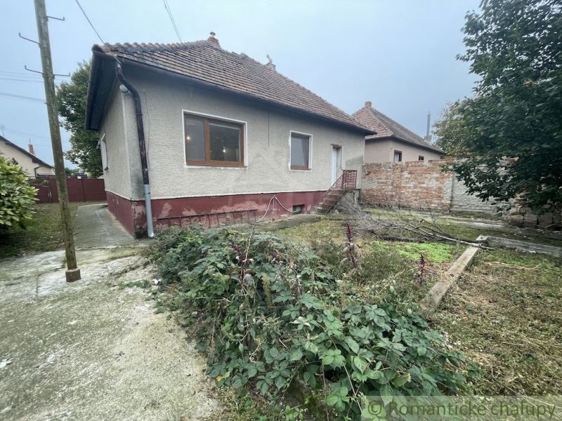 A family house in Šurany with a concrete yard and a garden full of plants.