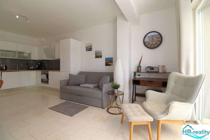 Recreational apartment with a comfortable sofa, chairs, and kitchen; interior with wood-patterned flooring.