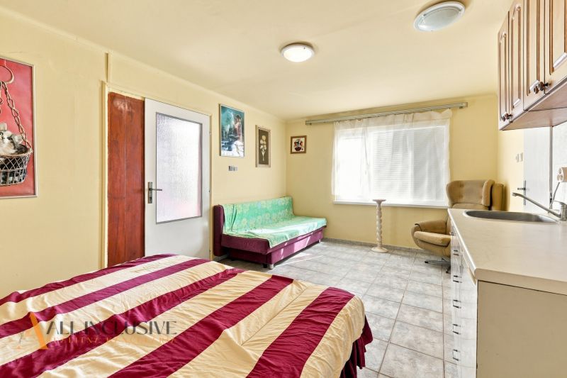 A room in a family house with a bed, a sofa, and a kitchenette, decorated with paintings.