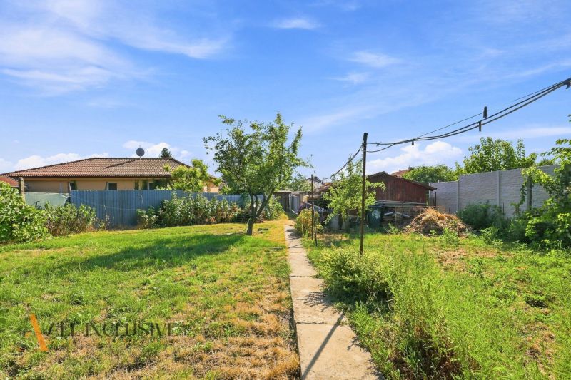 The garden of a family house in Veľký Meder with trees and grass.