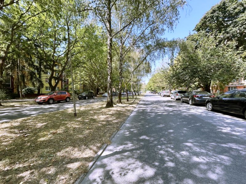 Trees along A. Hlinka Street in Piešťany, an ideal location near a 4-room apartment.