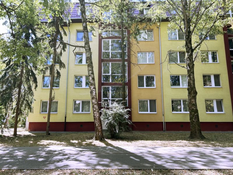 A container house in Piešťany on A. Hlinka Street, suitable for a 4-room apartment.