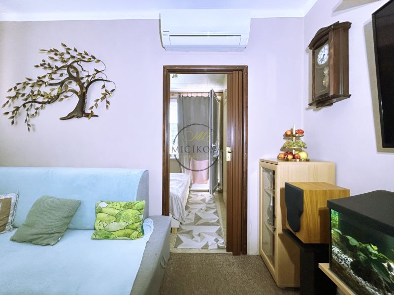 A tree decoration on the wall next to a light blue sofa, an aquarium, and antique clocks.