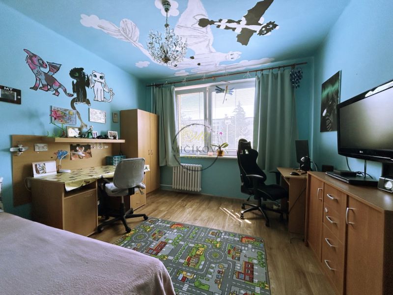 Children's room with cartoon characters, wooden decor floor, desk, and television.