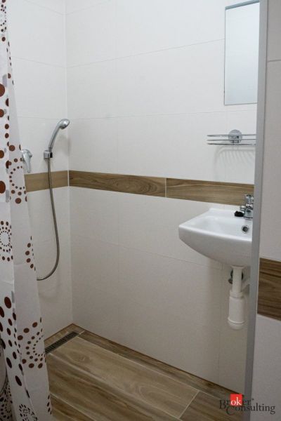 A bathroom in a studio apartment with a wood-patterned floor and a shower corner.