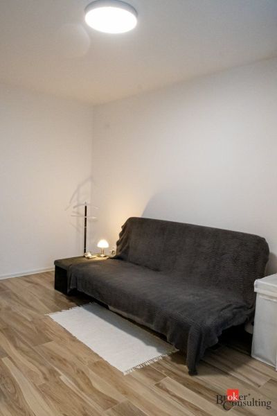Studio apartment with a carpeted sofa and a wooden decor floor.