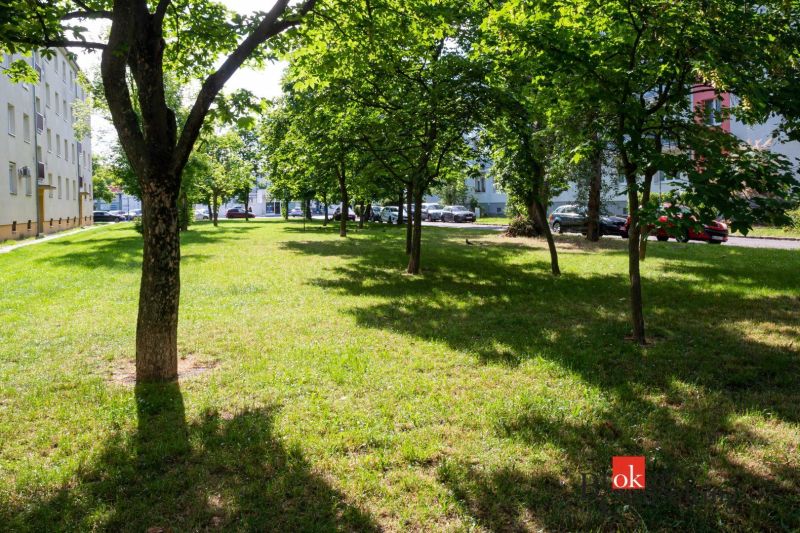 Greenery and trees in the park on Herlianska Street in Bratislava-Ružinov.