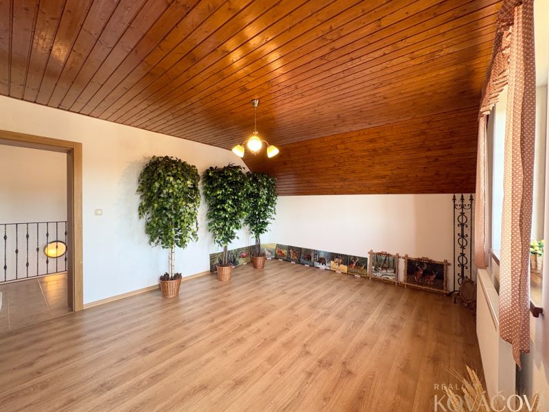 Interior of a family house with a wooden ceiling, a floor with a wooden decor, and plants.